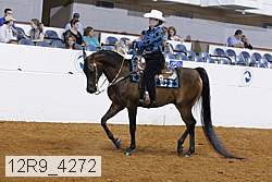 12r9_4272 proof