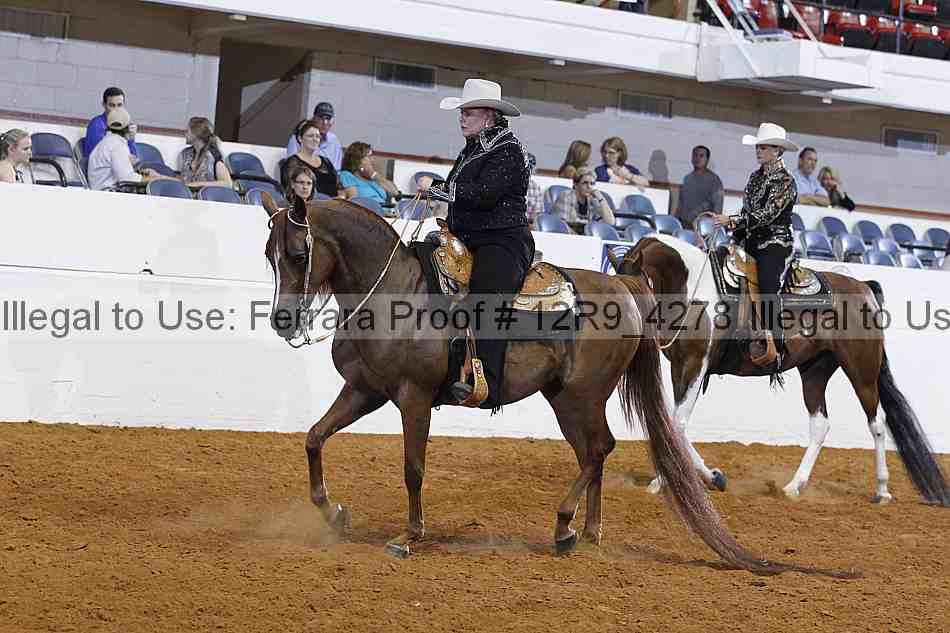 Proof 12r9_4278