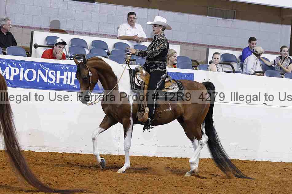 Proof 12r9_4279