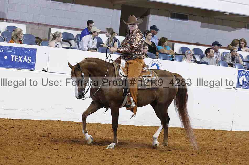 Proof 12r9_4283