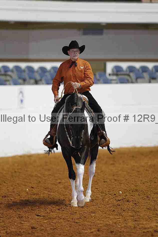 Proof 12r9_4287