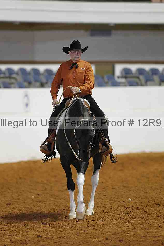 Proof 12r9_4288