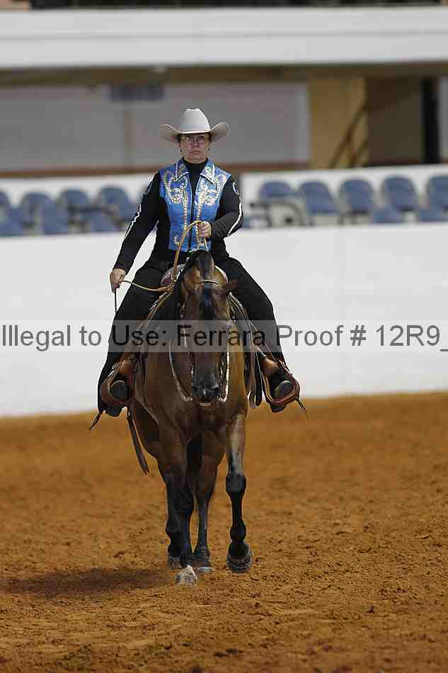 Proof 12r9_4296