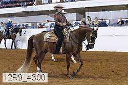 12r9_4300 proof