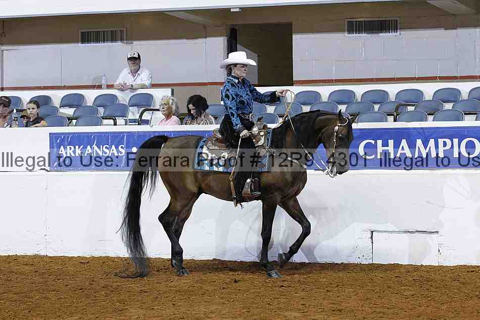 Proof 12r9_4301