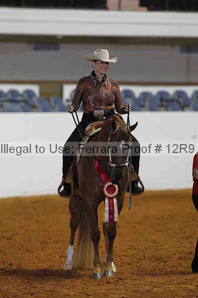 Proof 12r9_4309
