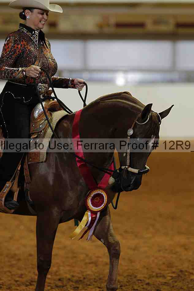 Proof 12r9_4310