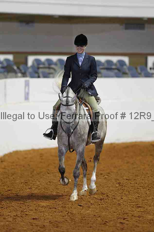 Proof 12r9_4363