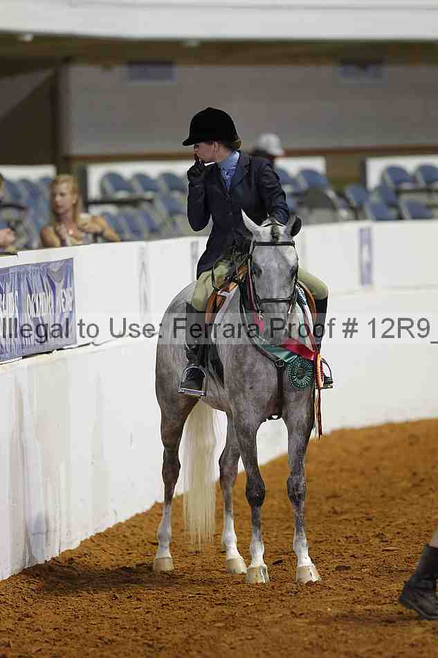 Proof 12r9_4367