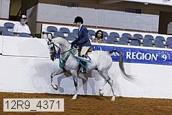 12r9_4371 proof