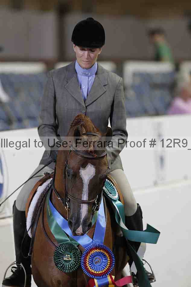 Proof 12r9_4376