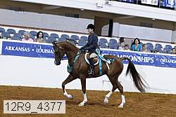 12r9_4377 proof