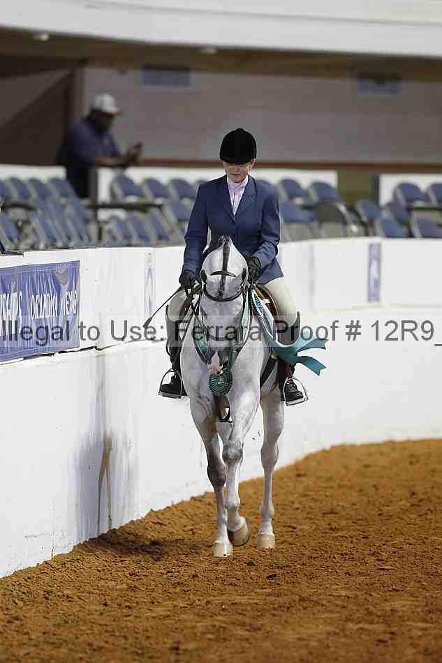 Proof 12r9_4378