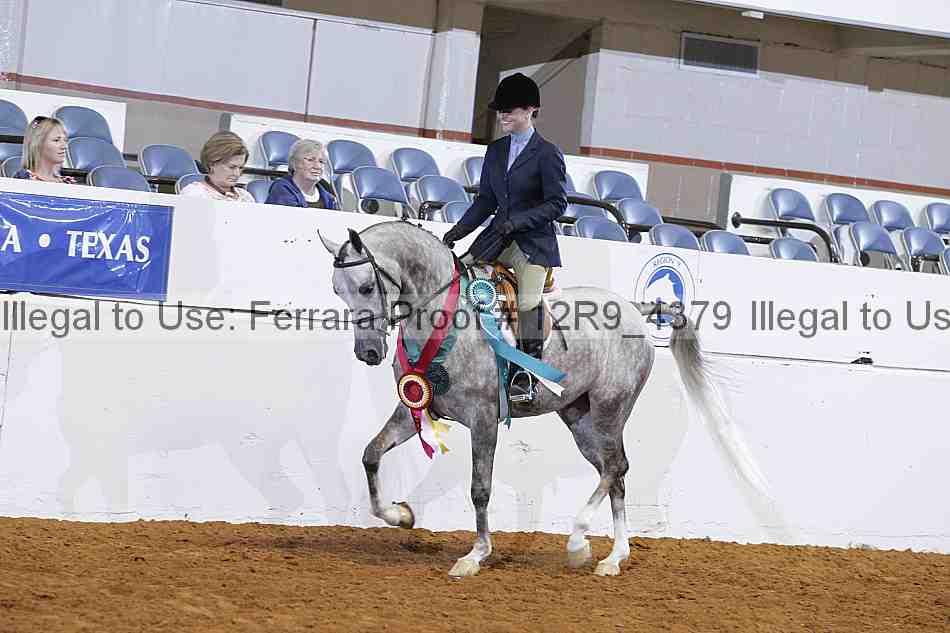 Proof 12r9_4379