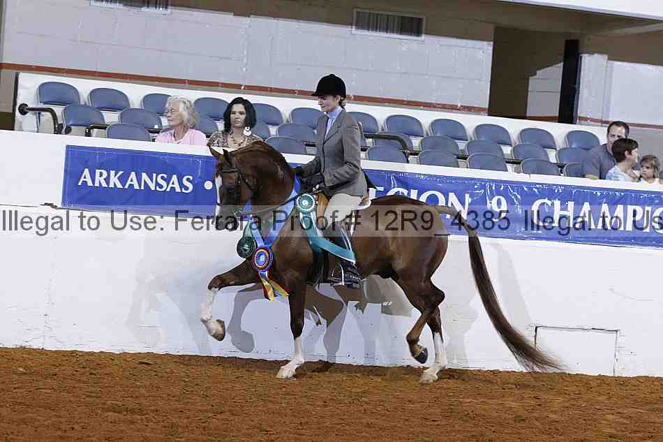 Proof 12r9_4385