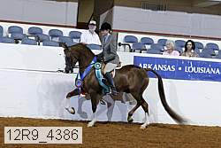 12r9_4386 proof
