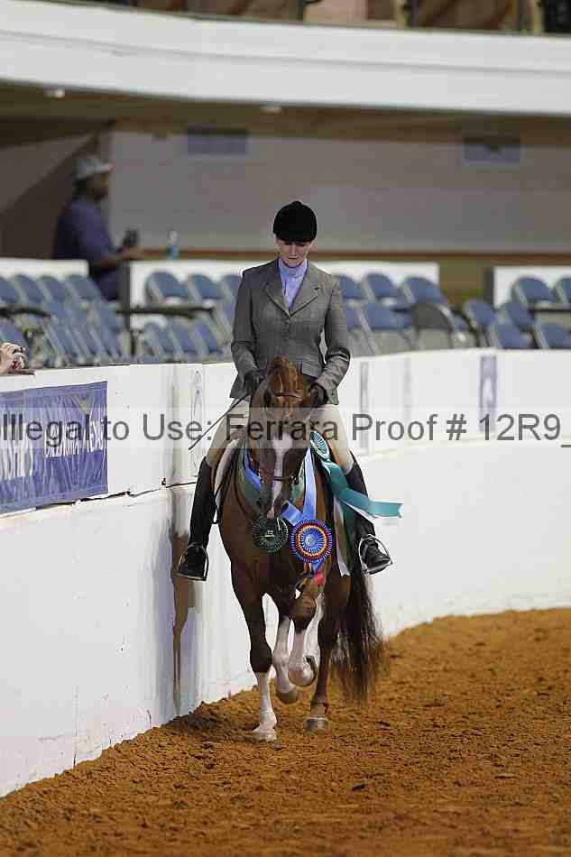 Proof 12r9_4390
