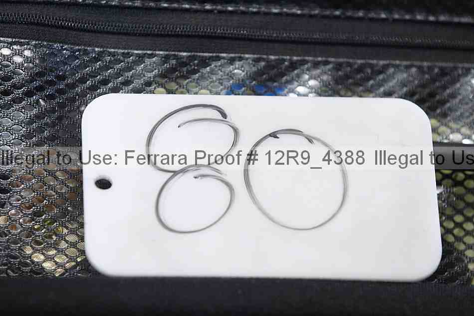 Proof 12r9_4388