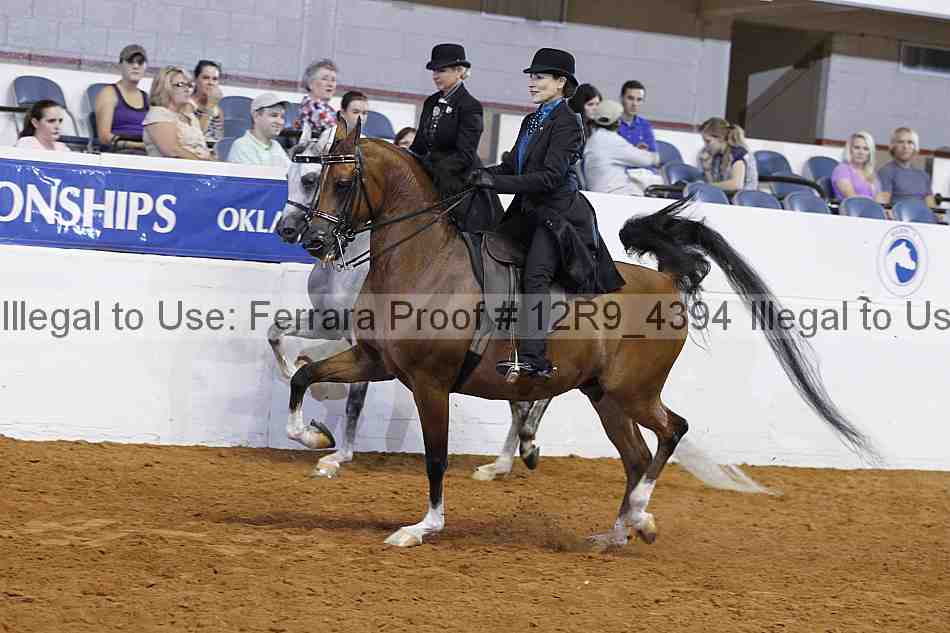 Proof 12r9_4394