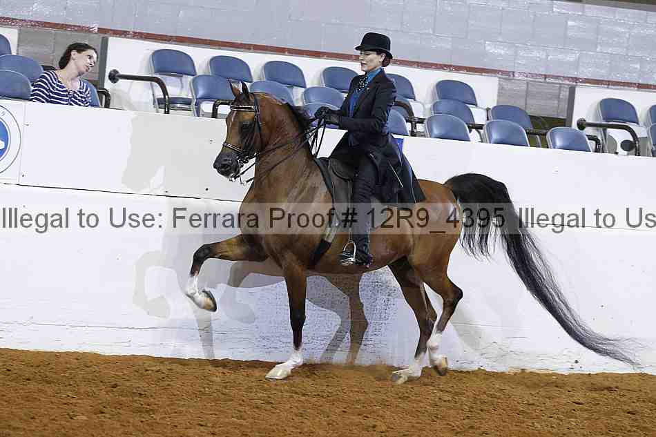 Proof 12r9_4395