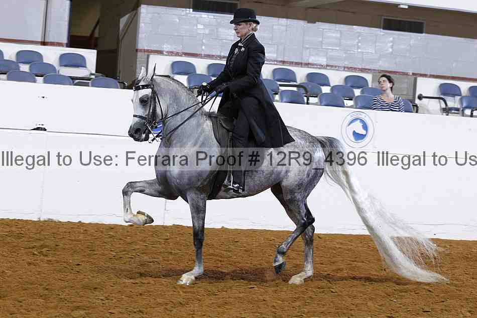 Proof 12r9_4396
