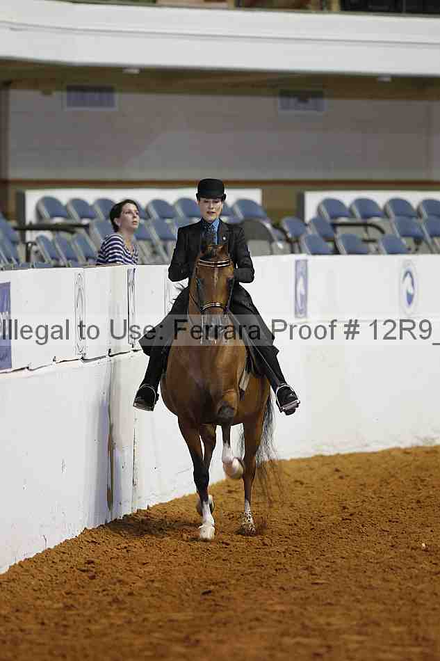 Proof 12r9_4397