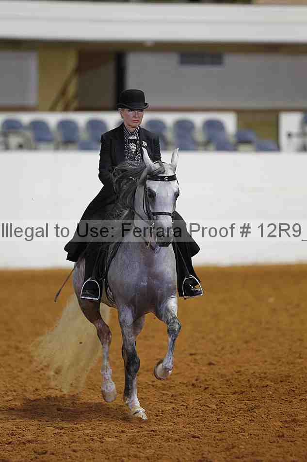 Proof 12r9_4398