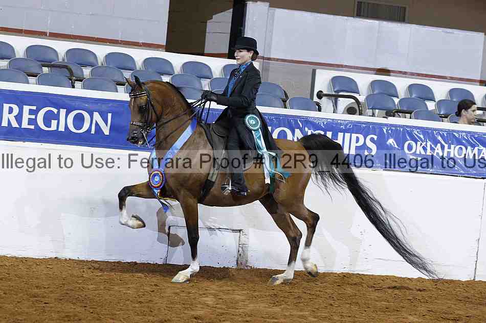 Proof 12r9_4406