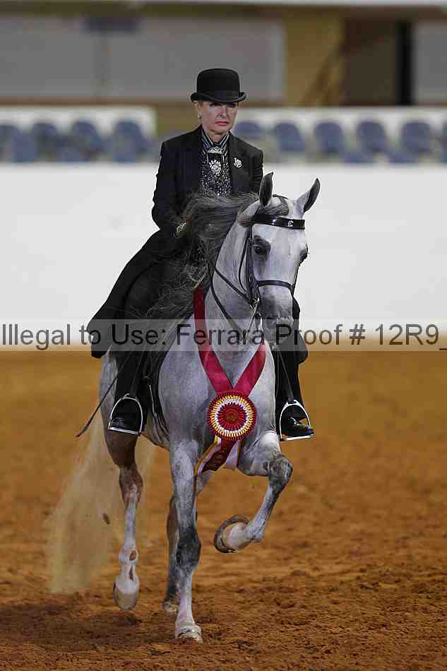Proof 12r9_4409