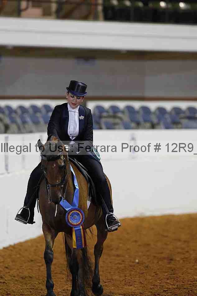 Proof 12r9_4437