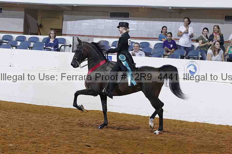 Proof 12r9_4441
