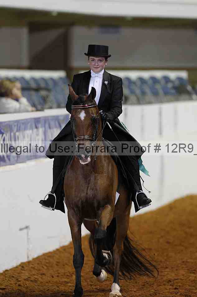 Proof 12r9_4447