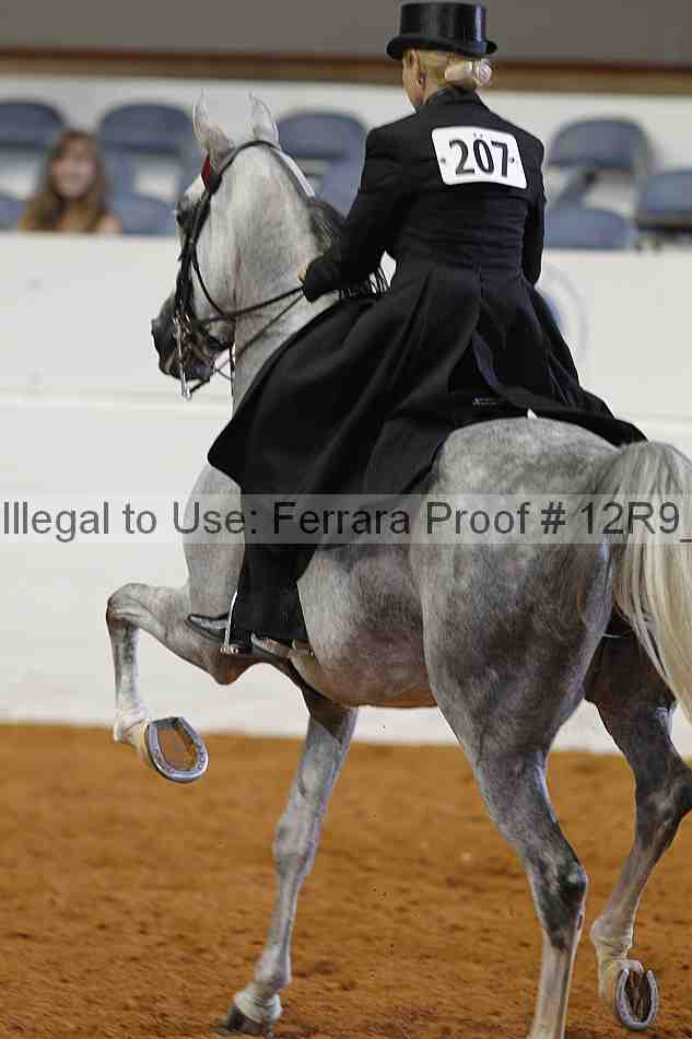 Proof 12r9_4459