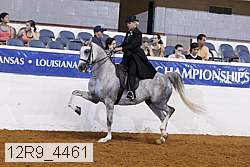 12r9_4461 proof
