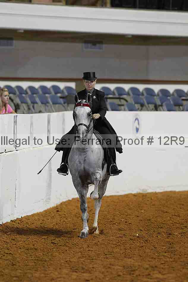 Proof 12r9_4466