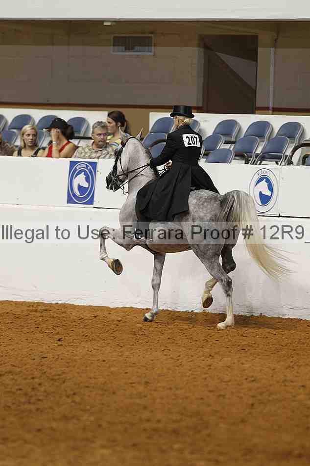Proof 12r9_4469