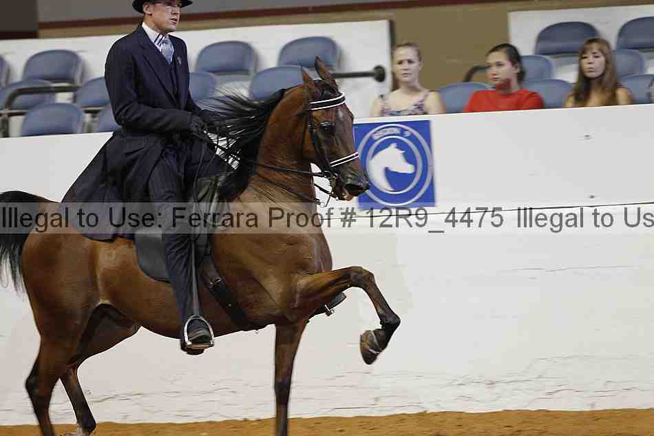 Proof 12r9_4475