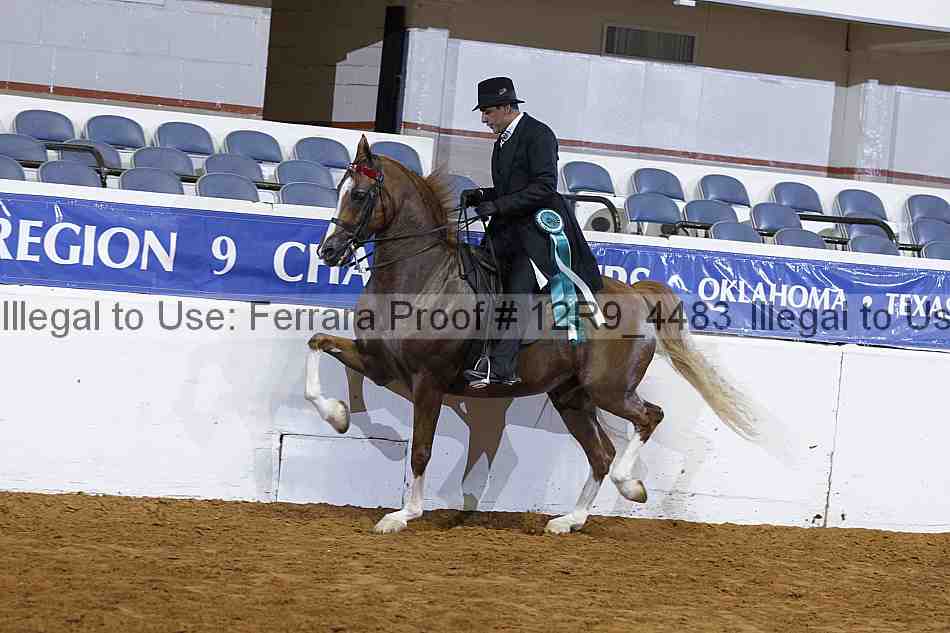 Proof 12r9_4483