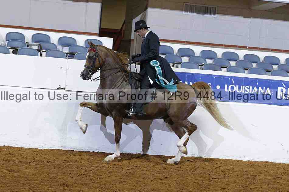Proof 12r9_4484