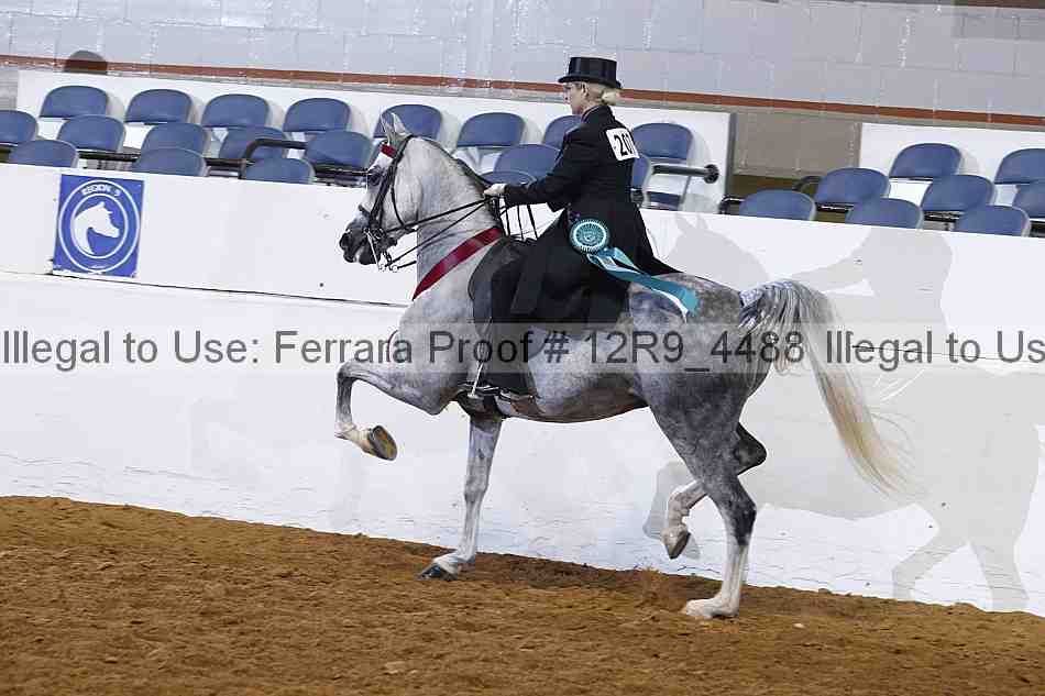 Proof 12r9_4488