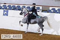 12r9_4488 proof