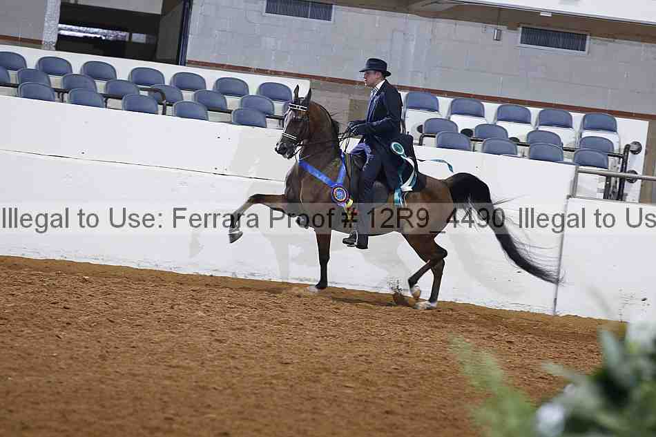 Proof 12r9_4490