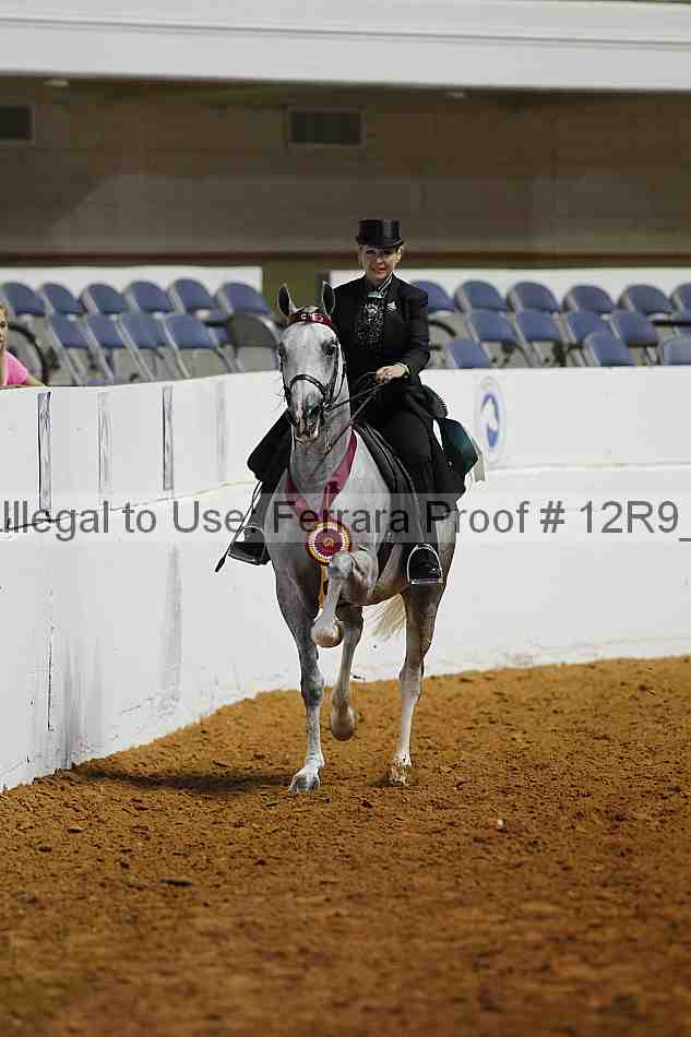 Proof 12r9_4494