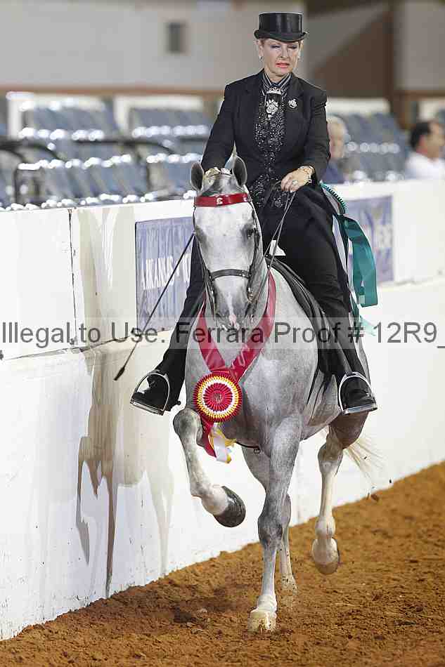 Proof 12r9_4495