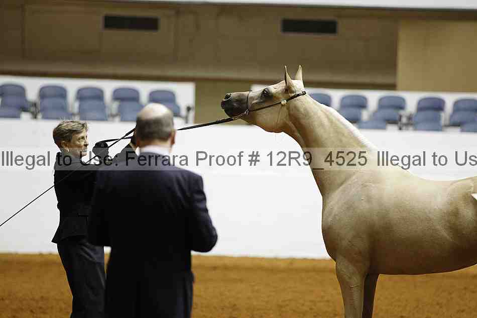 Proof 12r9_4525