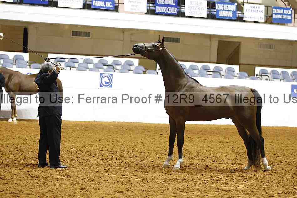 Proof 12r9_4567