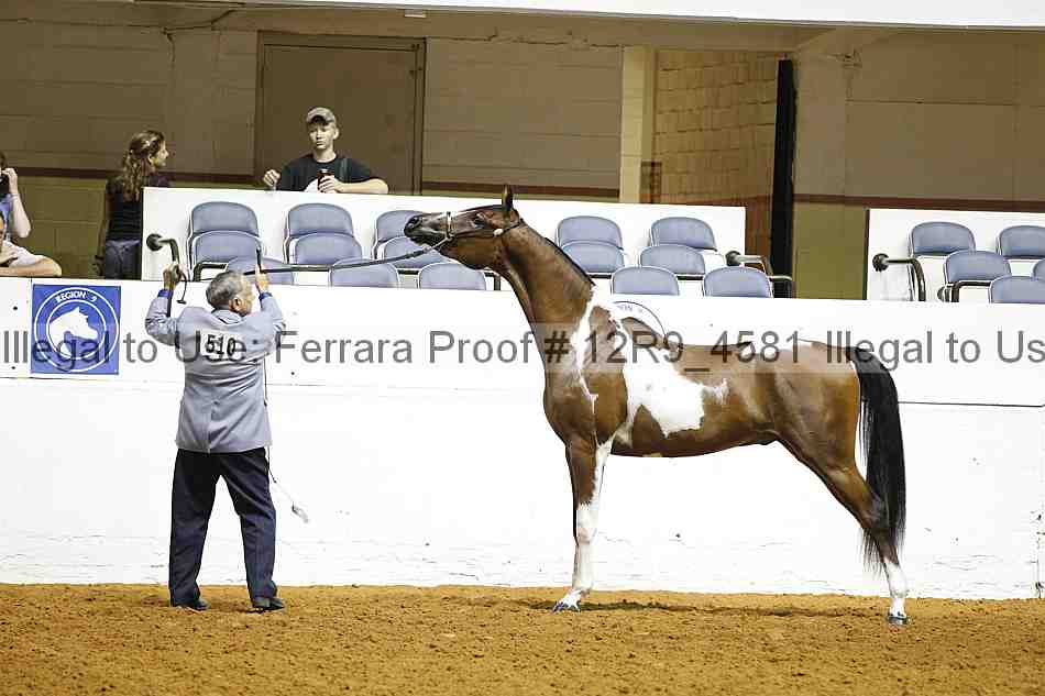 Proof 12r9_4581