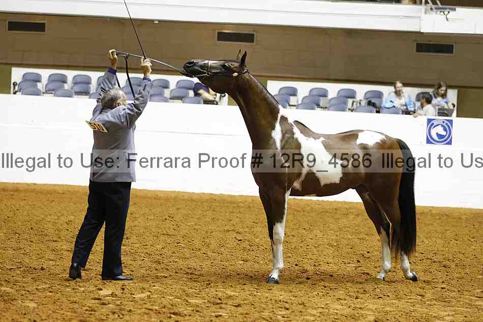 Proof 12r9_4586