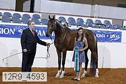 12r9_4593 proof