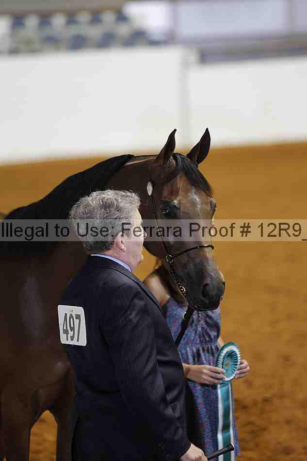 Proof 12r9_4595